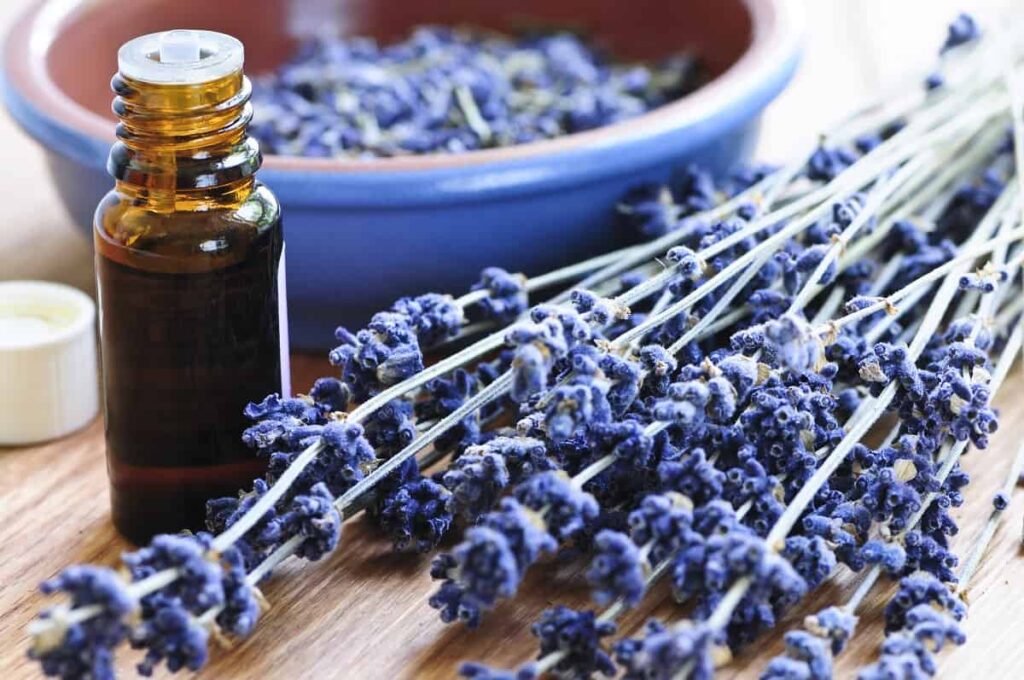 What Essential Oils are Good for Menopause